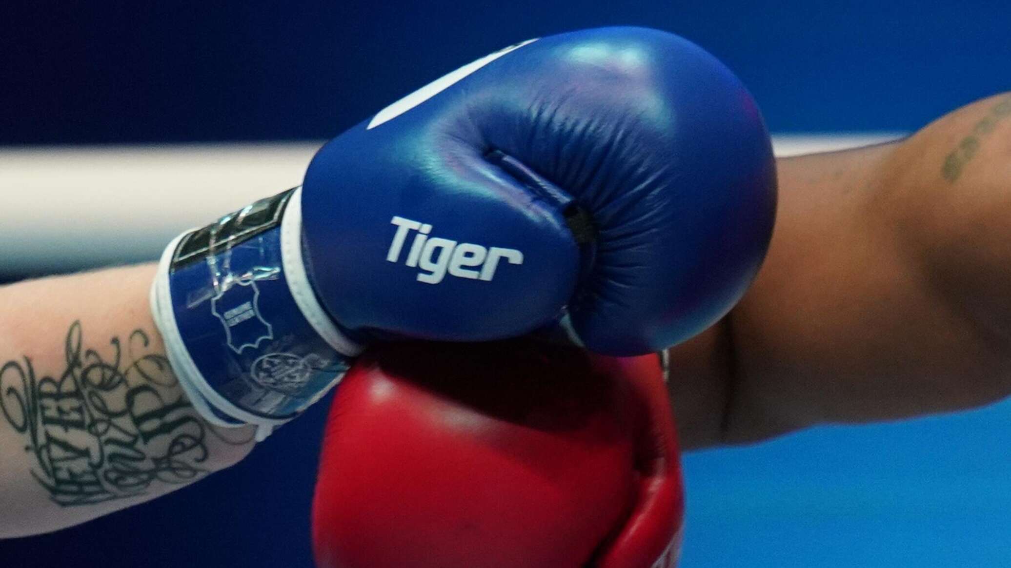 Трамп рассказал про поединок UFC в Белом доме Трамп рассказал про поединок UFC в Белом доме