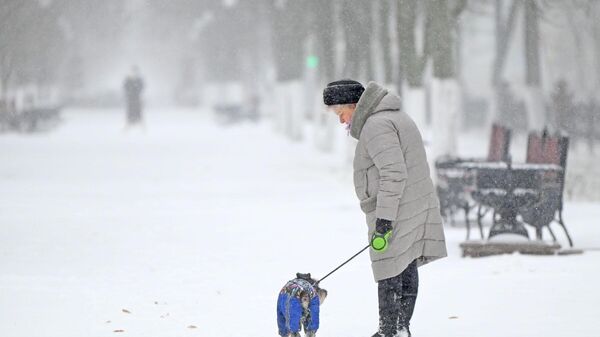 Женщина с собакой гуляет во время снегопада - Sputnik Беларусь