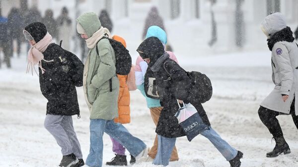 Люди переходят улицу во время снегопада - Sputnik Беларусь