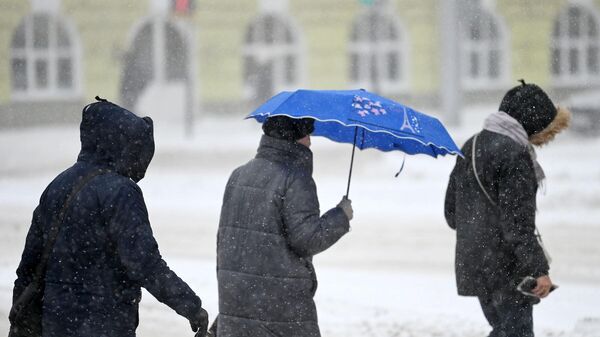 Пешеходы во время снегопада - Sputnik Беларусь
