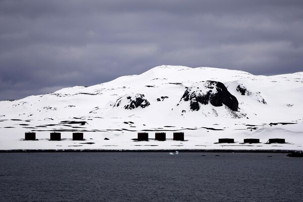 На берегу залива Файлдс на острове Кинг-Джордж, Южные Шетландские острова. - Sputnik Беларусь