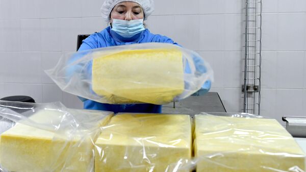 Производство сыров, архивное фото - Sputnik Беларусь