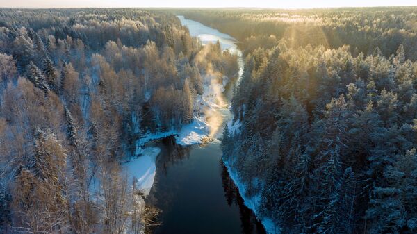 Виды водопада Кивач не реке Суна в Государственном природном заповеднике Кивач в Карелии - Sputnik Беларусь
