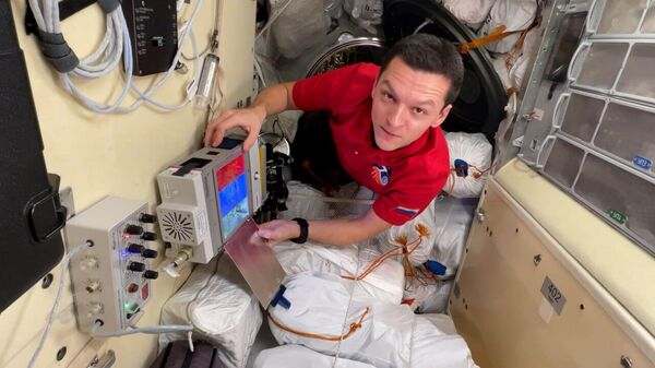 Российский космонавт показал, как выращивает горох на МКС (видео) - Sputnik Беларусь