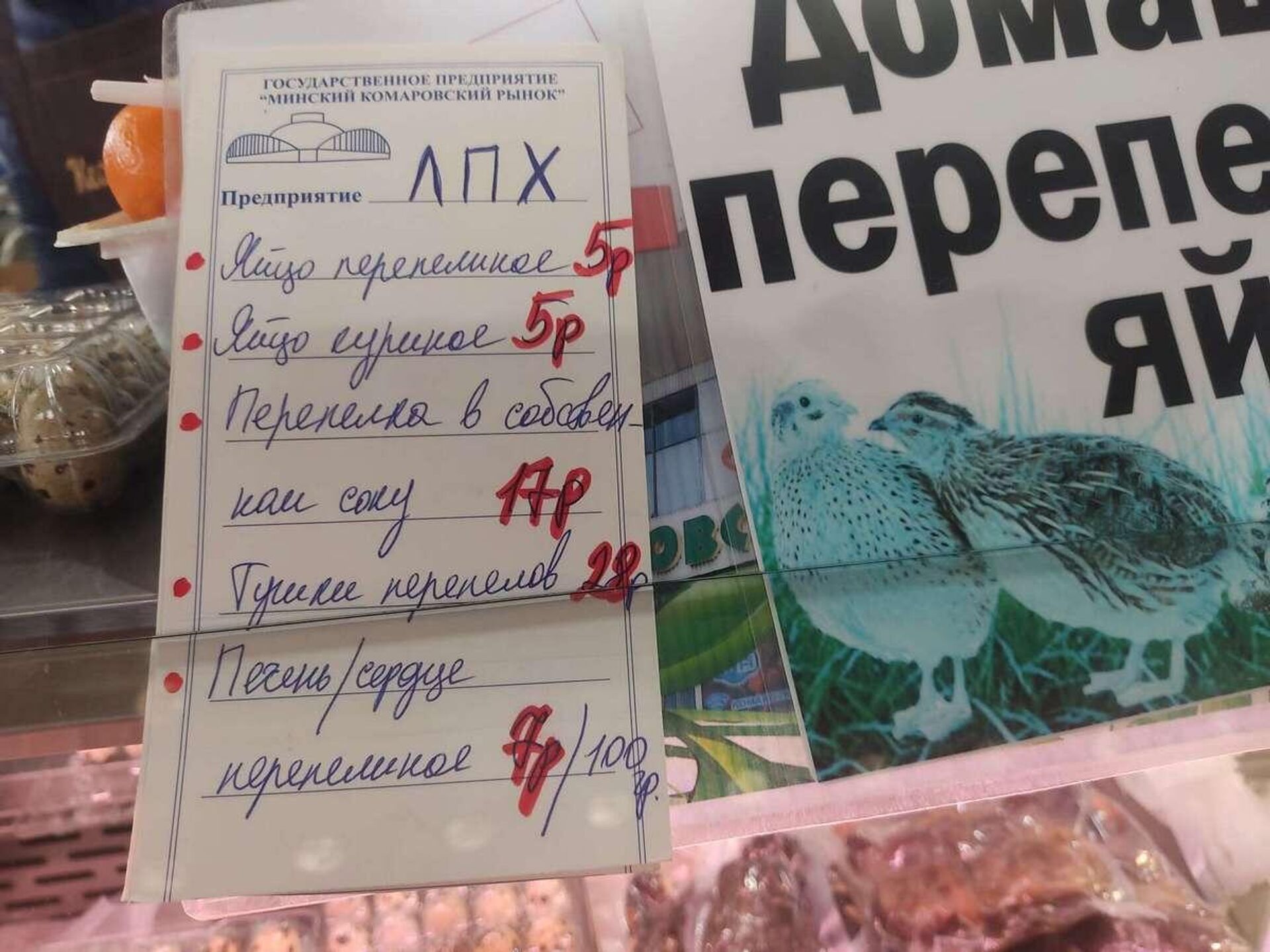 Десяток домашних перепелиных яиц обойдется в 5 рублей - Sputnik Беларусь, 1920, 29.12.2023