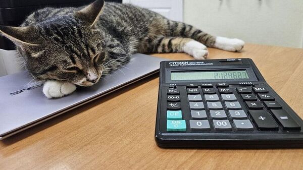 Калькулятор и кот - Sputnik Беларусь
