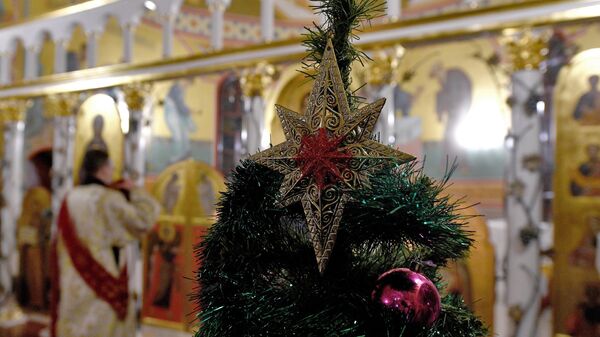 Рождественская служба в храме Рождества Христова под Минском – видео - Sputnik Беларусь