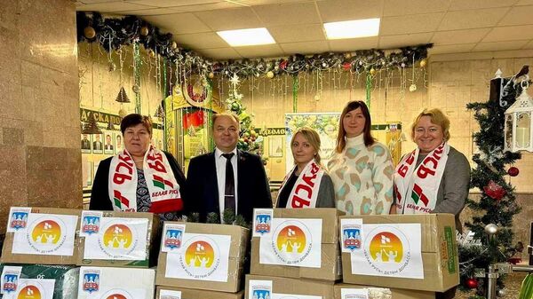 Общественное объединение Белая Русь завершило акцию по сбору гуманитарной помощи для жителей Донбасса - Sputnik Беларусь