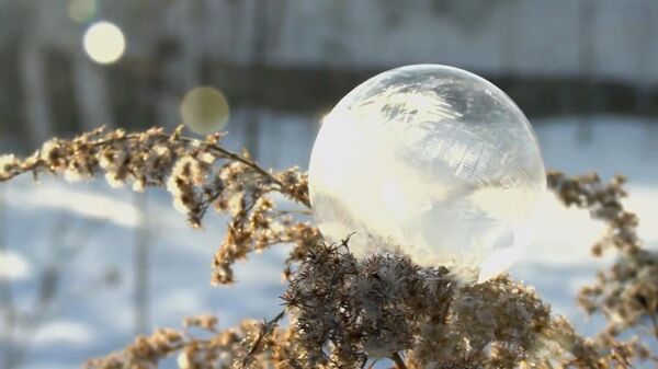 Фотограф превращает замерзшие мыльные пузыри в произведения искусства - Sputnik Беларусь