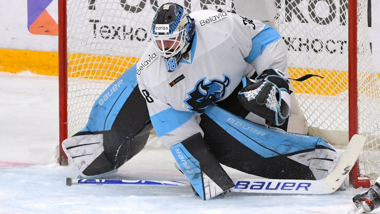 динамо минск последние матчи результаты. Saller динамо минск. динамо минск торпедо 2017. динамо минск последние матчи результаты. команда минские состав.