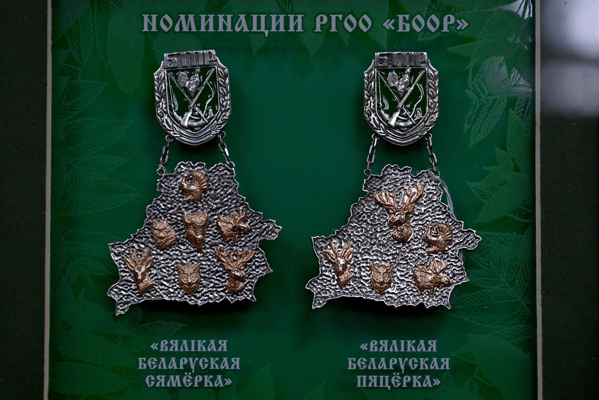 Презентация Национальной трофейной книги  - Sputnik Беларусь, 1920, 25.01.2024