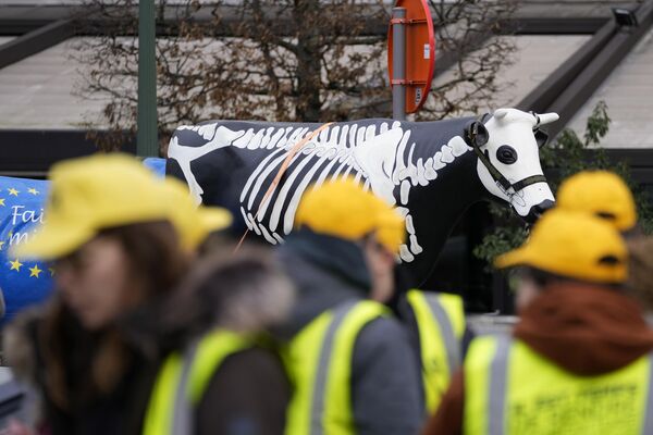Французские и бельгийские фермеры стоят перед пластиковой коровой с нарисованным на ней скелетом во время демонстрации возле Европейского парламента в Брюсселе. - Sputnik Беларусь