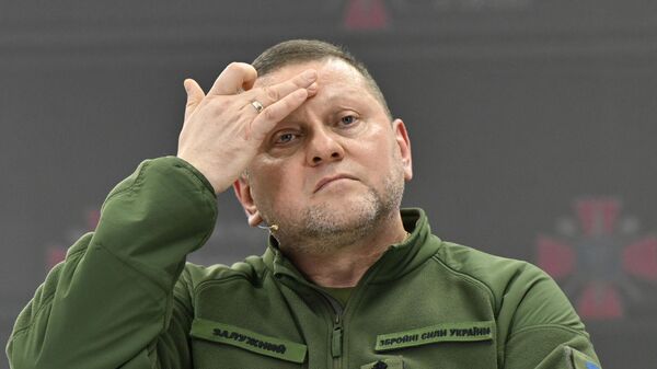 Валерий Залужный - Sputnik Беларусь