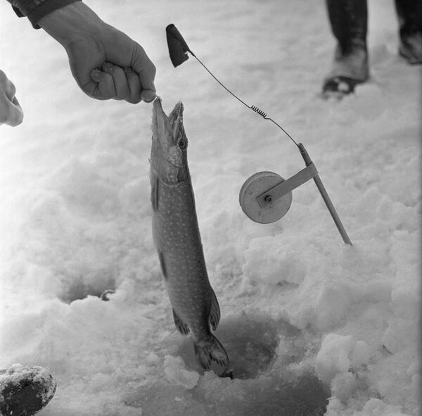 Зимняя рыбалка на Волге. Калининская область - Sputnik Беларусь