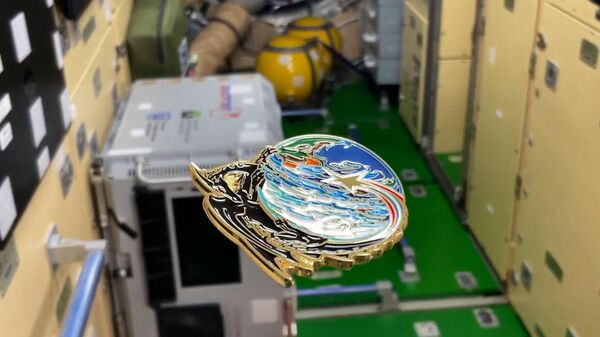 Орел или Решка – космонавт показал хитрый способ приземления монеты - Sputnik Беларусь