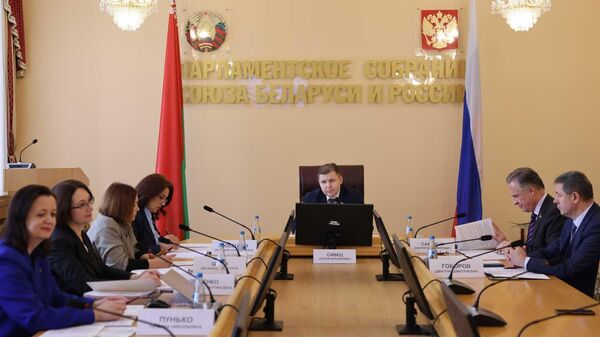 Парламентарии рассмотрели ход работы по подготовке модельного законодательного акта о приграничном сотрудничестве в Союзном государстве - Sputnik Беларусь