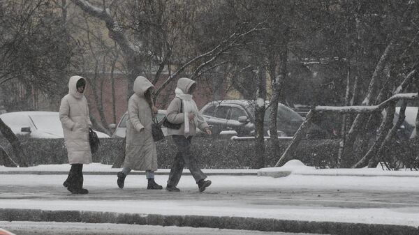 Снег в Минске - Sputnik Беларусь