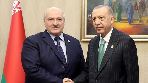 Встреча с президентов Беларуси и Турции Александра Лукашенко и Реджепа Тайипа Эрдогана - Sputnik Беларусь