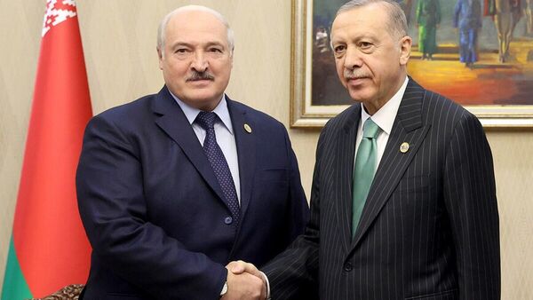 Встреча с президентов Беларуси и Турции Александра Лукашенко и Реджепа Тайипа Эрдогана - Sputnik Беларусь