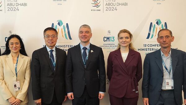 Встреча белорусской делегации с руководством ВТО - Sputnik Беларусь