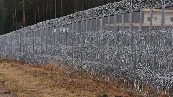 Забор на белорусско-литовской границе - Sputnik Беларусь