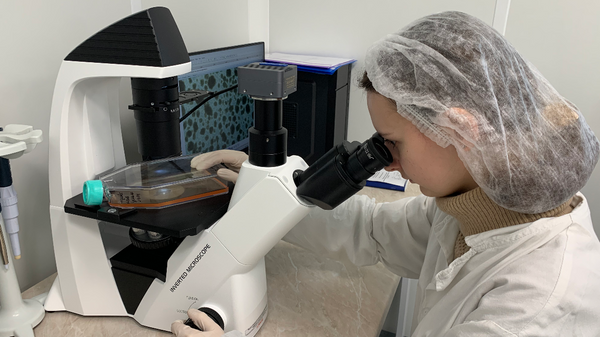 Младший научный сотрудник Института биофизики и клеточной инженерии НАН Анна Малашевская выполняет анализ морфологии клеток с помощью микроскопа - Sputnik Беларусь