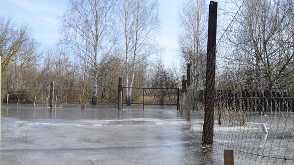 Жилые дома и дороги затопило паводком в Гомельской и Могилевской областях