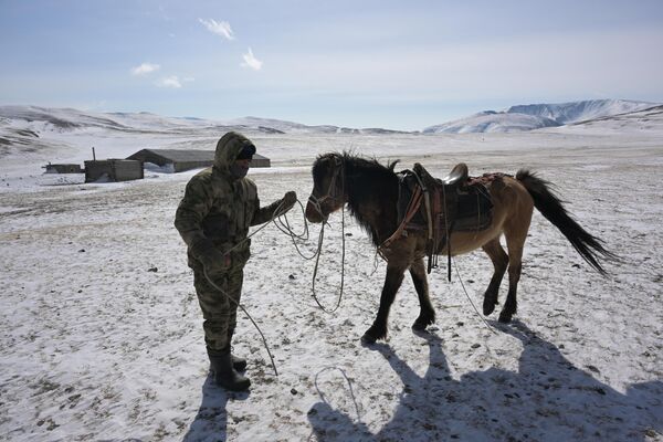 Чабан с лошадью возле стоянки чабанов в горах Кош-Агачского района. - Sputnik Беларусь