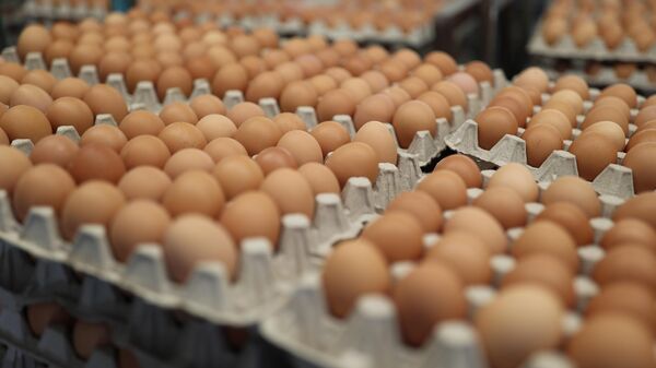 Куриные яйца, архивное фото - Sputnik Беларусь