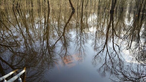 Паводок  - Sputnik Беларусь