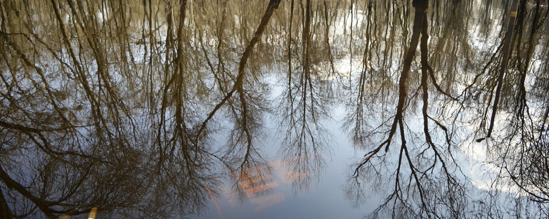 Паводок  - Sputnik Беларусь, 1920, 18.02.2026