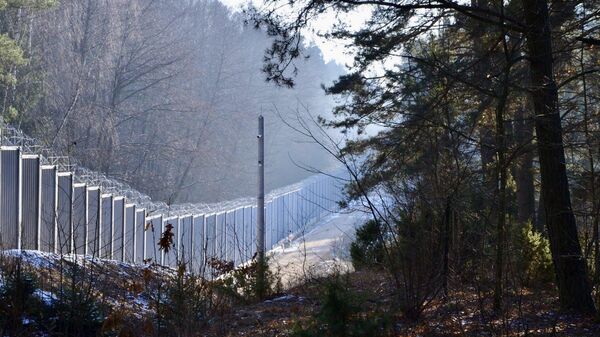 Забор на белорусско-польской границе - Sputnik Беларусь