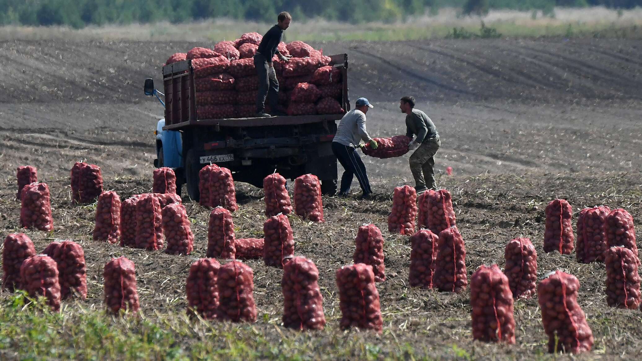 Головченко: производство в сельском хозяйстве должно расти на 6-7% -  17.04.2024, Sputnik Беларусь