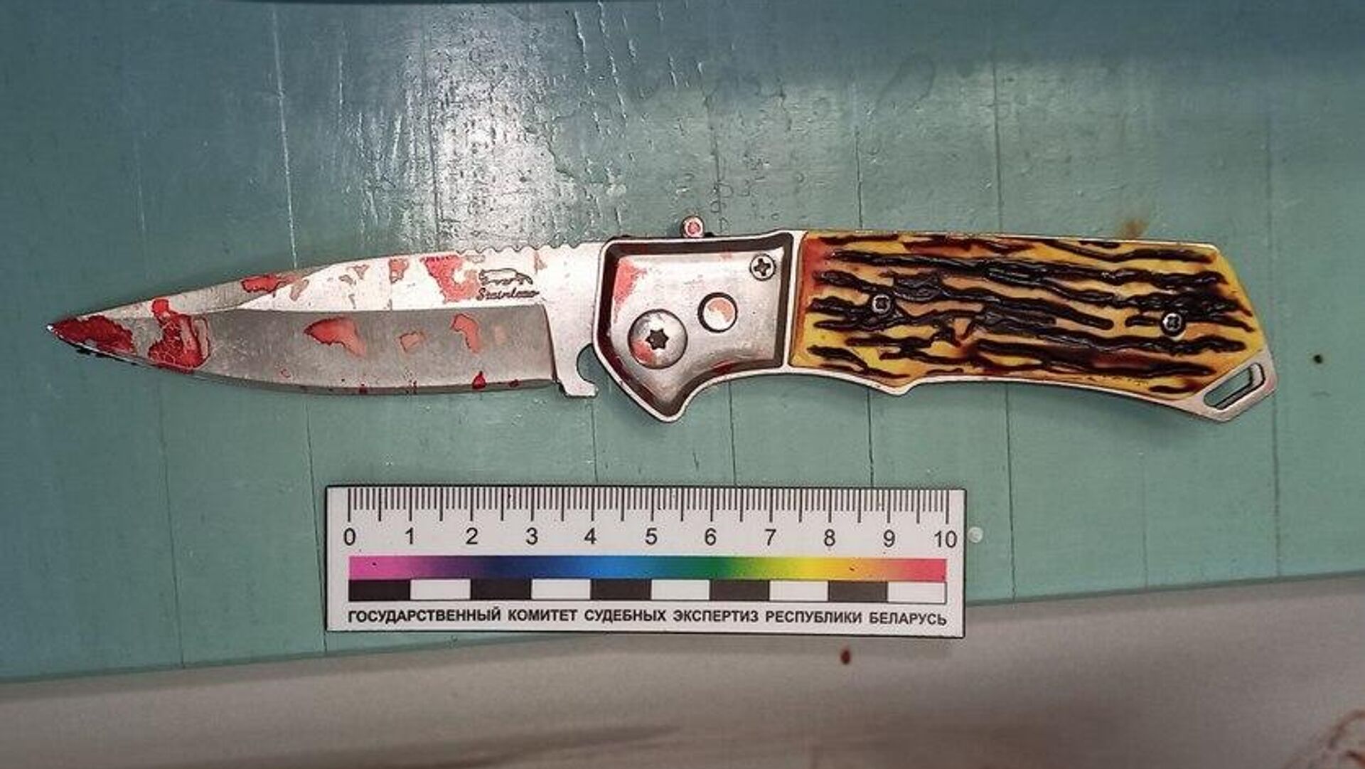 Найденный на месте произошедшего нож - Sputnik Беларусь, 1920, 04.04.2024