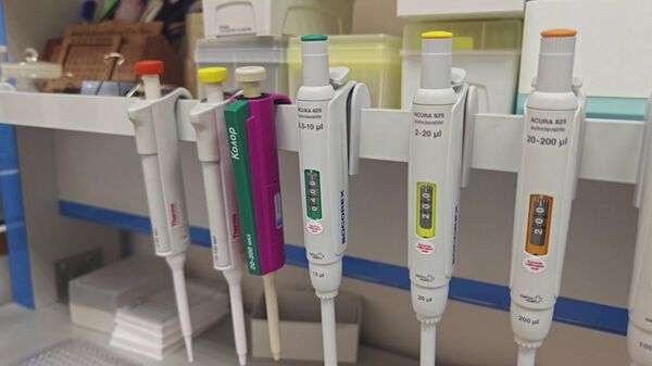 Тестирование на аллергию - Sputnik Беларусь