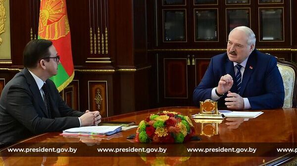 Лукашенко: цель оппозиции – зайти в Беларусь и кусочек земли захватить - Sputnik Беларусь