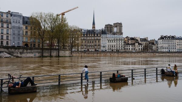 В затопленных доках вдоль реки Сены в Париже - Sputnik Беларусь