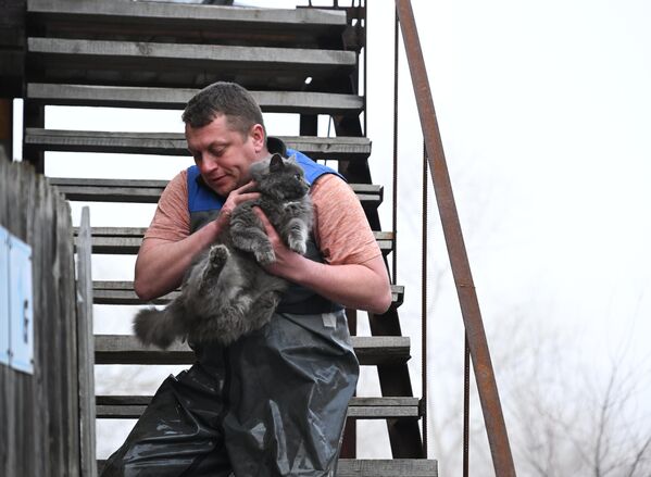 Мужчина эвакуирует кошку из затопленного дома в микрорайоне Форштадт в Оренбурге. - Sputnik Беларусь