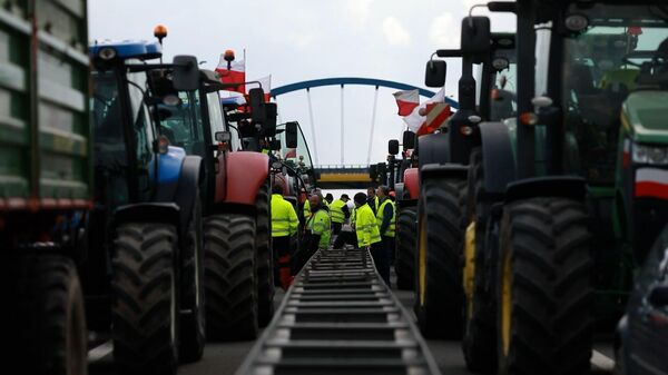 Снова протесты – польские фермеры недовольны дешевым импортом с Украины - Sputnik Беларусь
