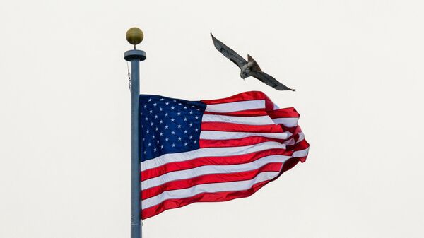 Ястреб летает возле флага США в Вашингтоне - Sputnik Беларусь