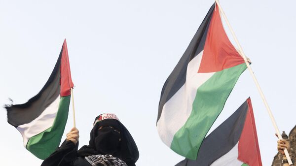 Пропалестинский активист держит палестинский флаг во время митинга - Sputnik Беларусь