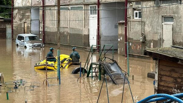 Наводнение в Армении - Sputnik Беларусь