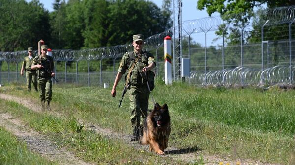 Помогают камеры и дроны: как пограничники охраняют границу с Литвой (видео) - Sputnik Беларусь