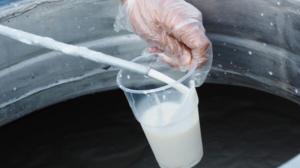 Цех розлива молочных продуктов - Sputnik Беларусь