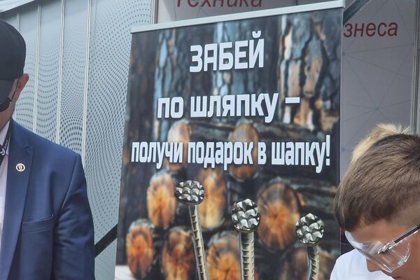 Болид от МТЗ и племенные бычки: Белагро-2024 открылась в Великом камне - Sputnik Беларусь