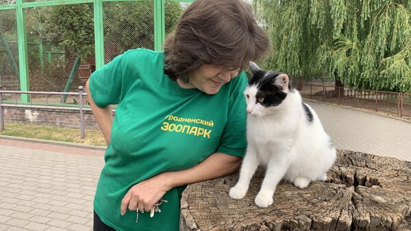 Кошка работает в зоопарке Гродно - Sputnik Беларусь