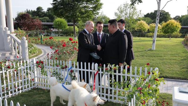 Лидер КНДР Ким Чен Ын подарил президенту России Владимиру Путину собак породы пхунсан - Sputnik Беларусь