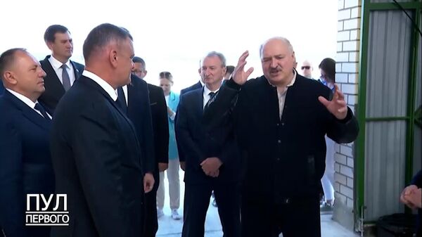 Лукашенко рассказал, как спас корову (видео) - Sputnik Беларусь