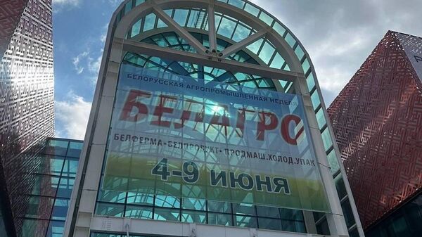 Международная специализированная выставка Белагро - 2024 - Sputnik Беларусь