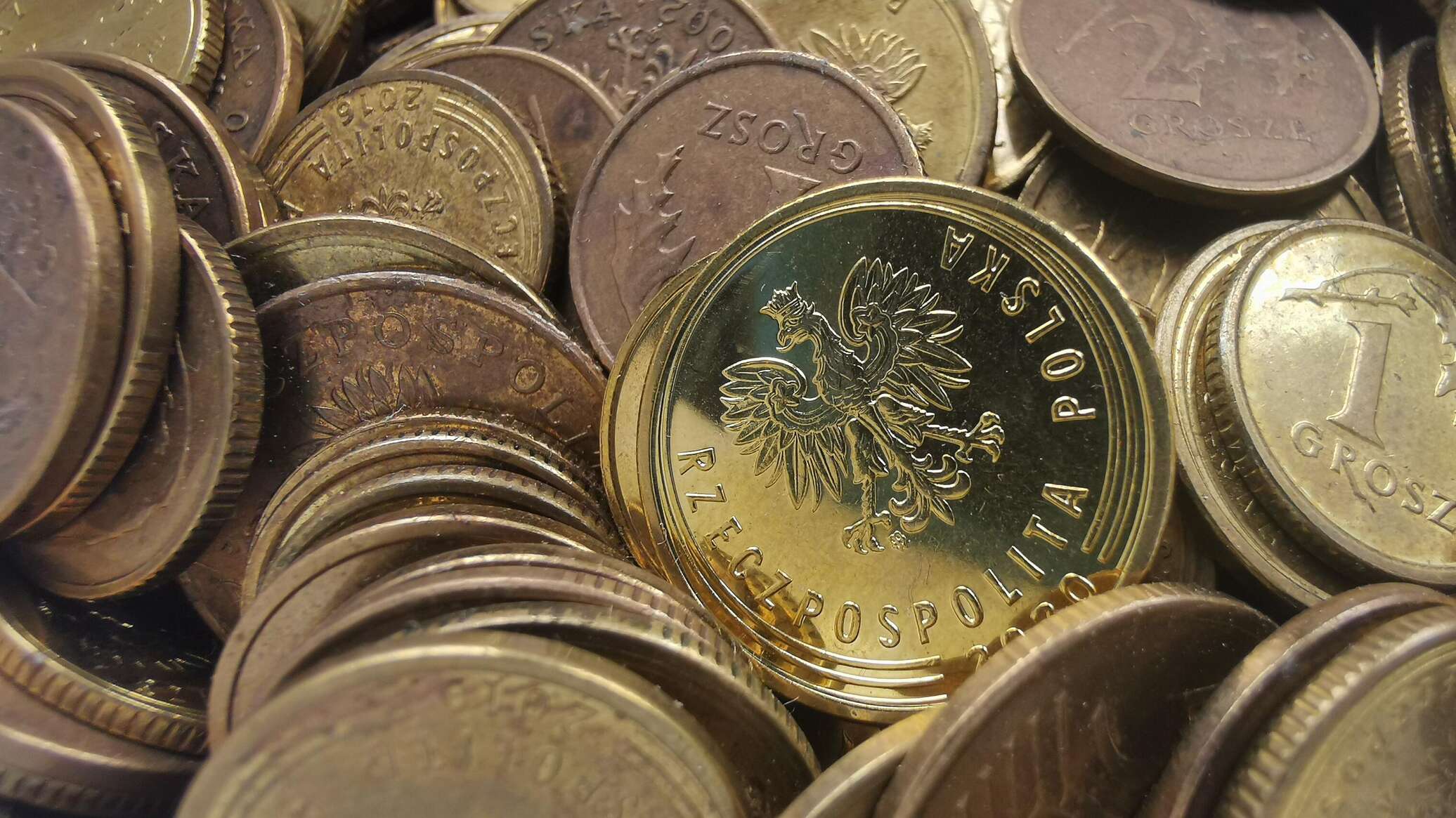 Неработающие украинцы больше не будут получать соцпособия в Польше